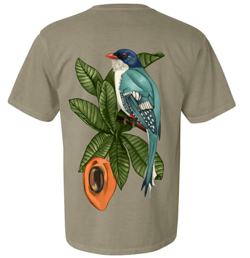 Ariete 10-Year Anniversary Tee - Khaki