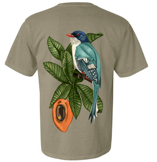 Ariete 10-Year Anniversary Tee - Khaki