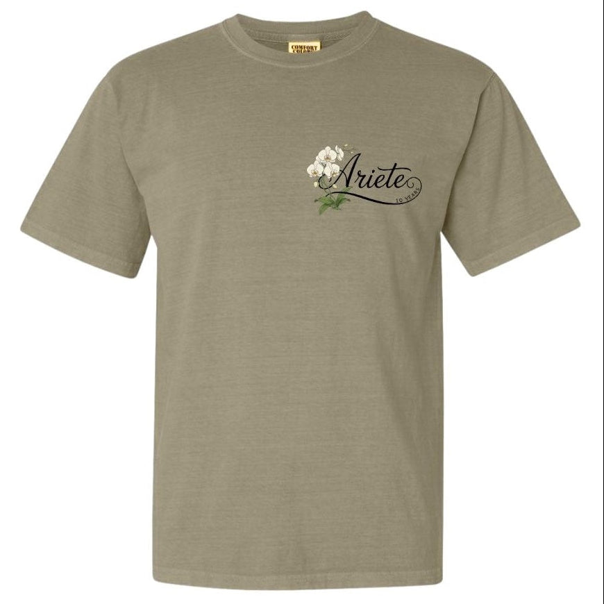 Ariete 10-Year Anniversary Tee - Khaki
